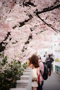 Sakura Photographer. Foto de Yanai Takahiro