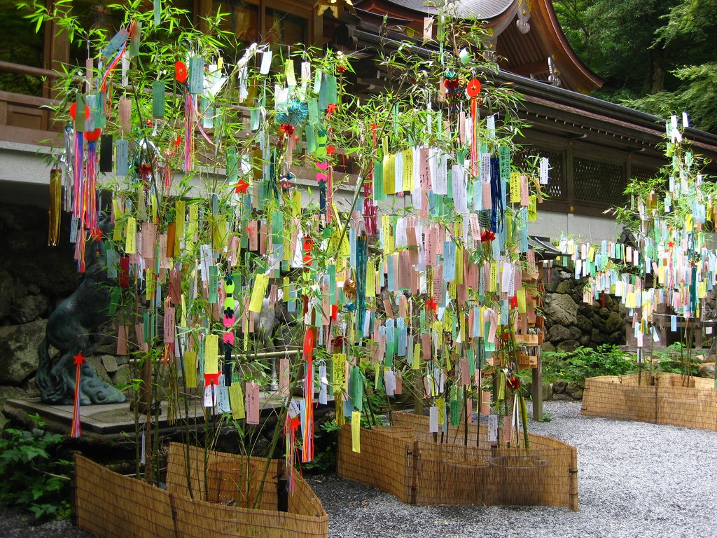 Deseos de Tanabata. Foto de Shellaine Godbold
