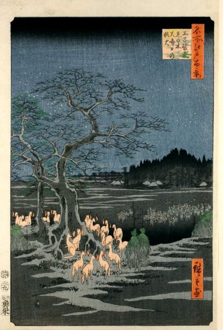 Kitsunebi en la noche de año nuevo junto al Árbol Enoki en el One Hundred Famous Views of Edo de Hiroshige. Cada zoro tiene una bola de fuego delante de su cara.