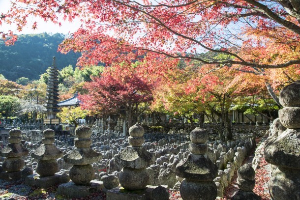 Adashino Nenbutsuji in Autumn. Foto de PV9007 Photography