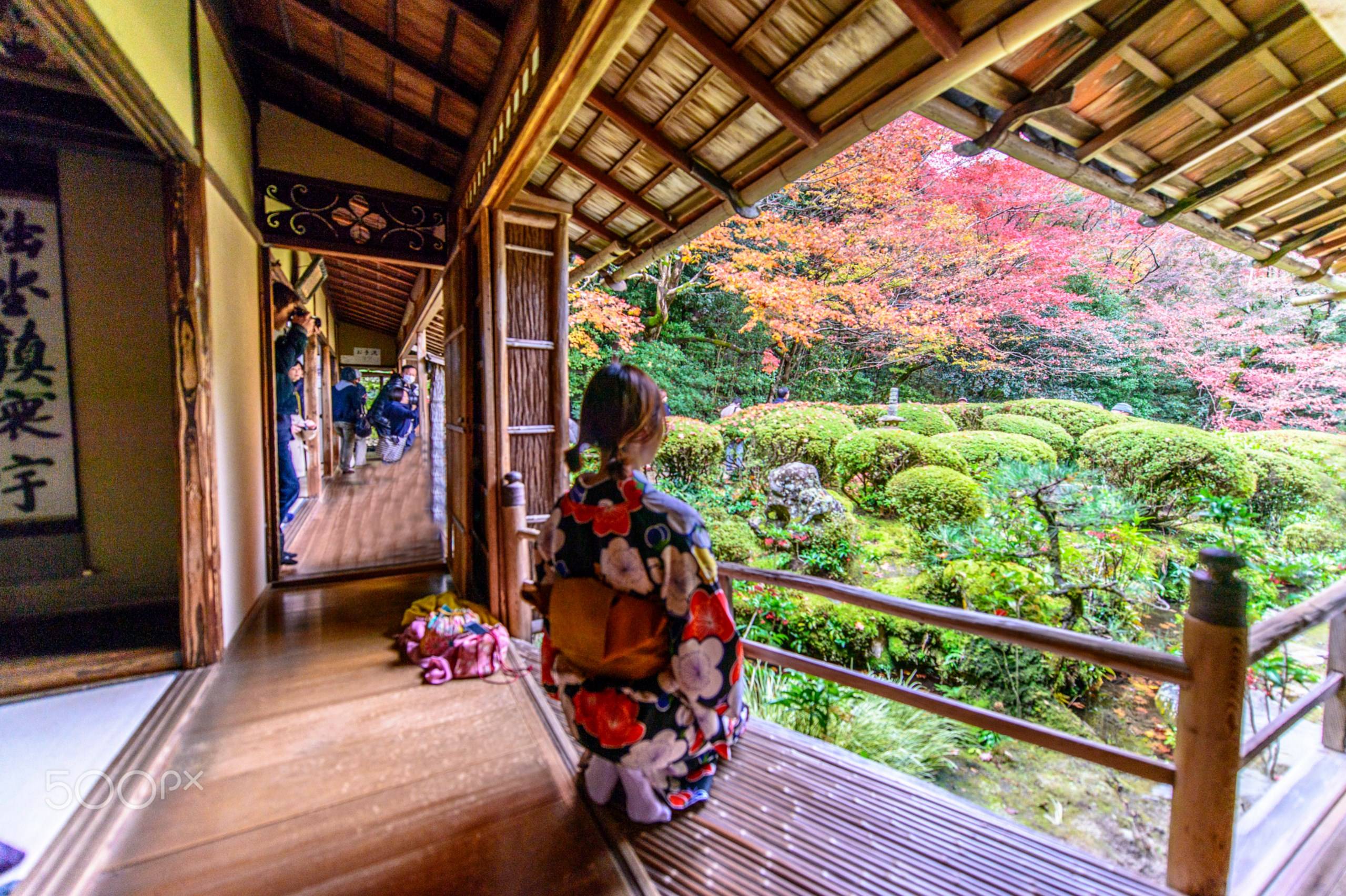 Japanese Zen Garden. Foto de John Su