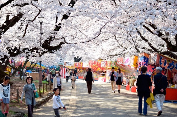 Sakura festival. Foto de Paul Richard Mayer