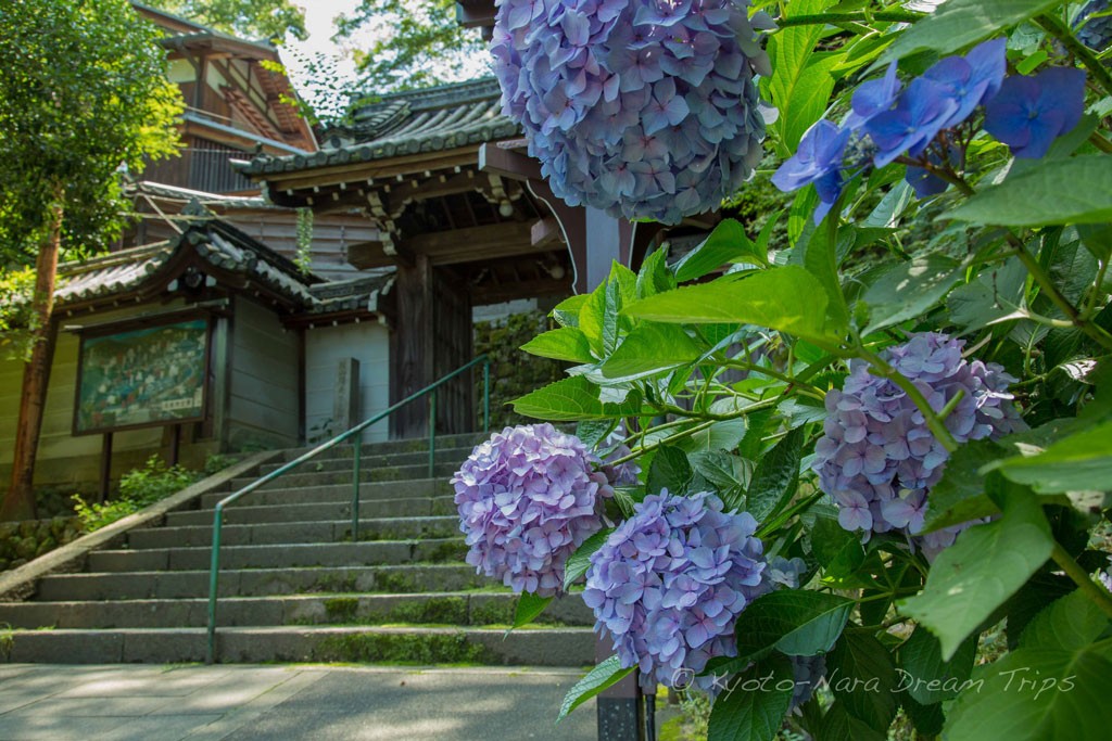 Chōraku-ji. Foto de KyotoDreamsTrips