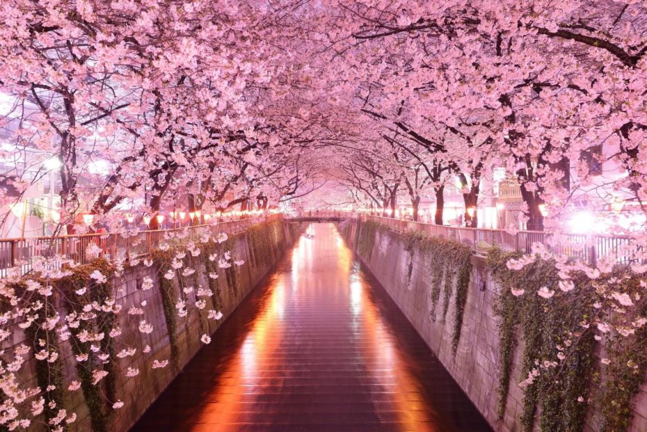 ¿Cuál es la mejor época para viajar a Japón"