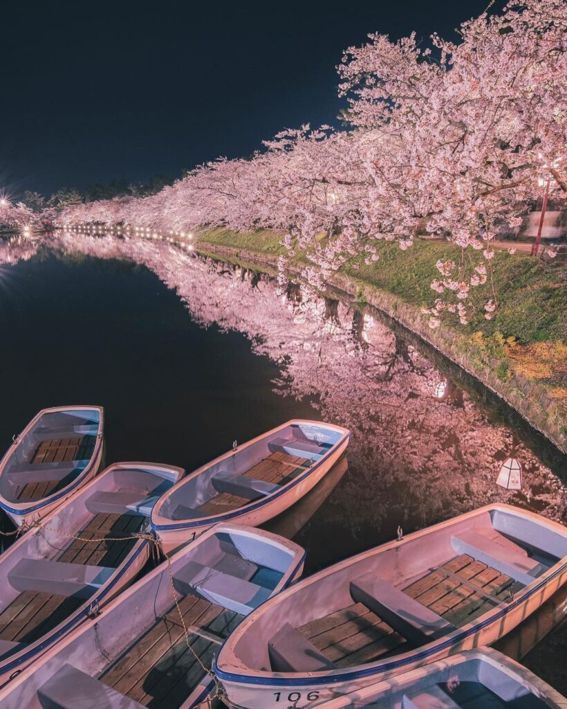 Sakura en el Parque Hirosaki
