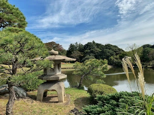Excursión Tokio 100% personalizada en Tokio