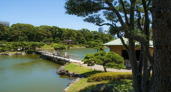Excursión Bahía de Tokio y Odaiba en Tokio
