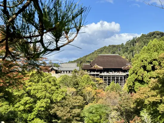 Excursión Higashiyama profundo en Kioto